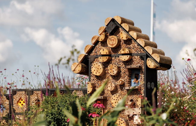 Sustainable Lodge on the Brielse Meer - Foto 13