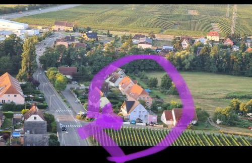 Au petit Logelbach - Foto 11