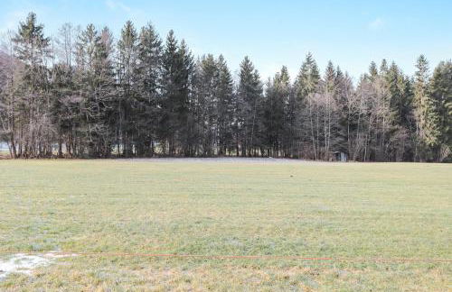 Ferienwohnung Stark - Foto 17