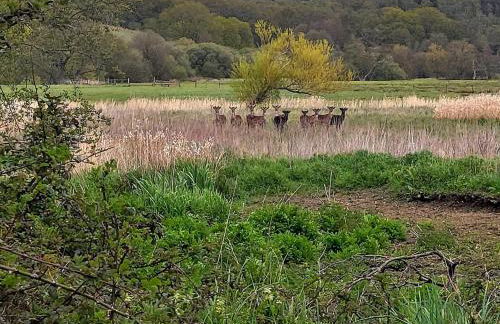 The Little Cottage - Foto 23