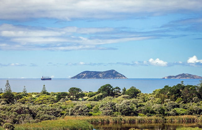 Ocean Vista by the BnB Collection - Photo 24