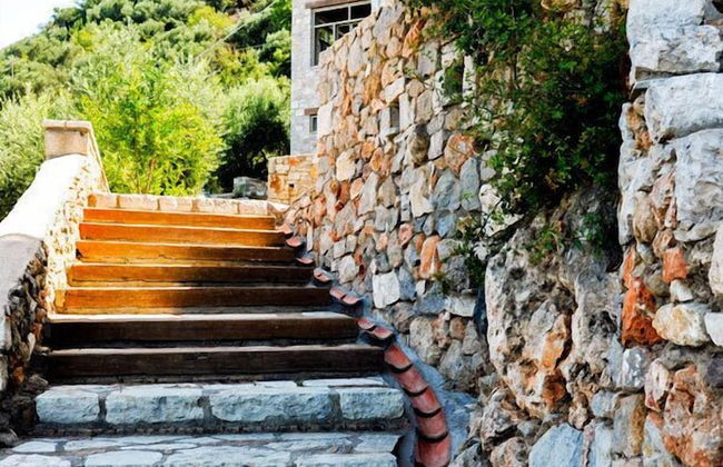 Diotima's Homes - Photo 16