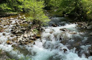 L'évidence - Foto 5