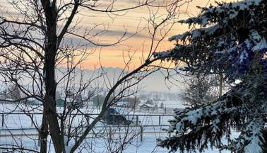 Silver Ranch - Foto 2