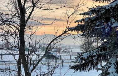 Silver Ranch - Foto 2