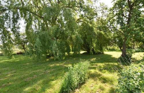 Ferienhaus vor den Toren der Insel Poel - Foto 60