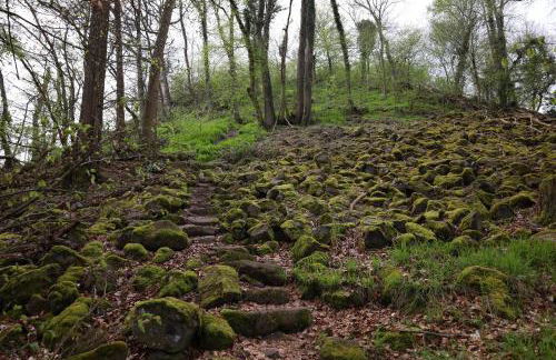 Idyllisches Häuschen im Grünen - Foto 57
