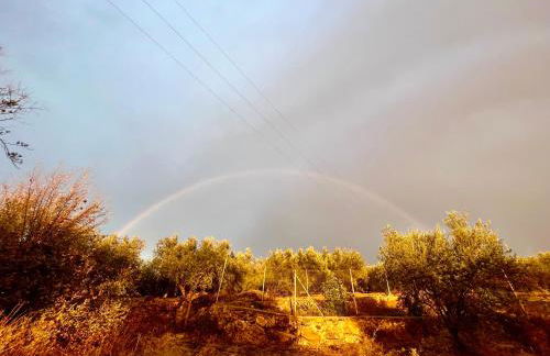 La Cuadra de Finca Don Carmelo - Foto 26