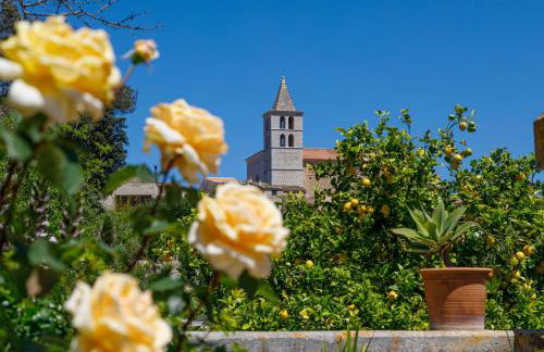 Son Colom -Turismo de interior - Foto 27