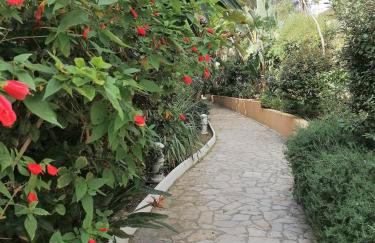 Beach & Golf Design Apartment Marbella - Photo 71