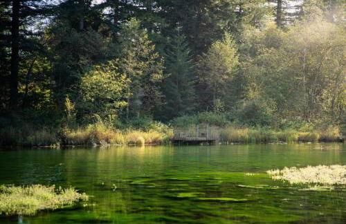 Maple Haven Cabin - Foto 38