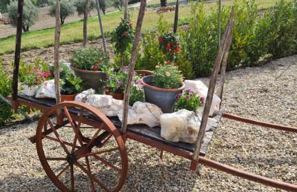 Solar Rubina - Piscina Água Salgada - Foto 17