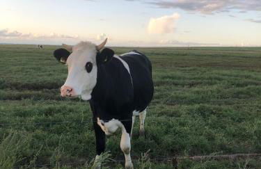 Ferienhaus Wattkieker - Foto 13