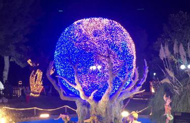 Gianna’s apartment central Aigio Cozy and Shining - Foto 57