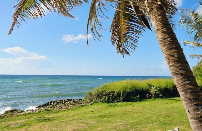 Ocean Spray Apartments - Foto 68