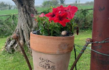 Il casale di Tata - Foto 18