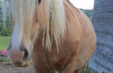 Le Dame Country House, Marche - Foto 12