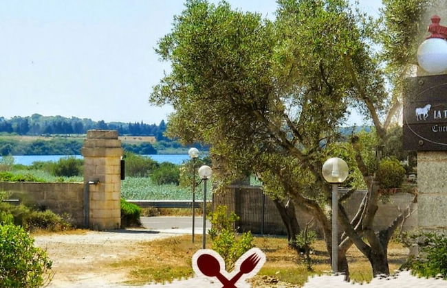 La Trottoria - Photo 35