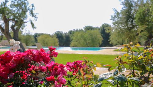 Masseria Parco della Grava - Foto 3