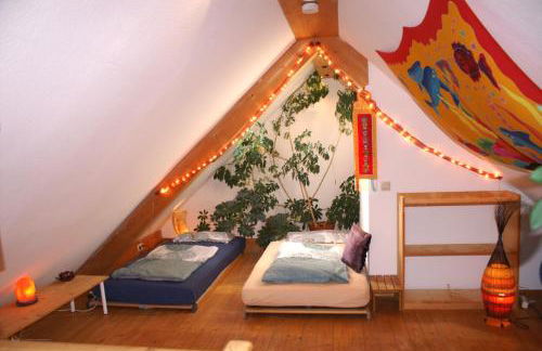 ruhiges Wohnen am Lama und Maine Coon Hof in Alleinlage in Biederbach 3 Zimmer mit Kochgelegenheit Bad - Foto 38