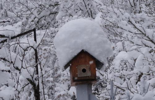 Escale du château de Promery 1389 - Foto 15