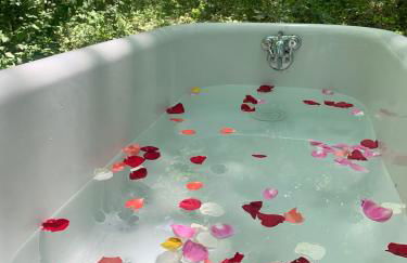 Charming Vacation Rental in a Barn on a Horse Farm near Afton Mountain in Virginia - Foto 14