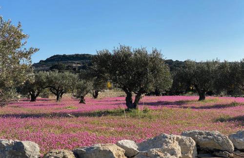 VILLA ALYKI SEA VIEW PAROS - Foto 41