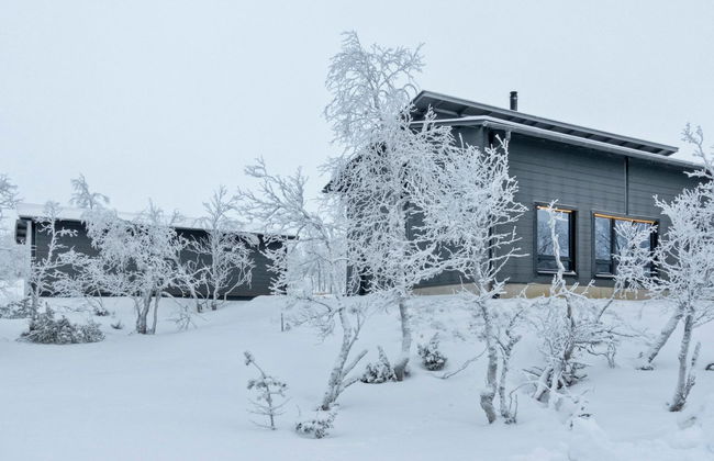 Villa viima - Foto 2