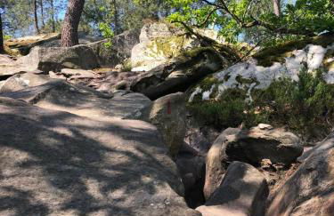 Studio du BoisDHyver - Foto 13