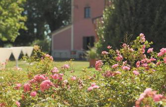 Antico Borgo Delle Rose - Photo 18