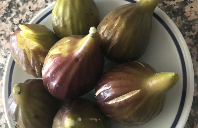 FUCCIOLI II - Foto 14