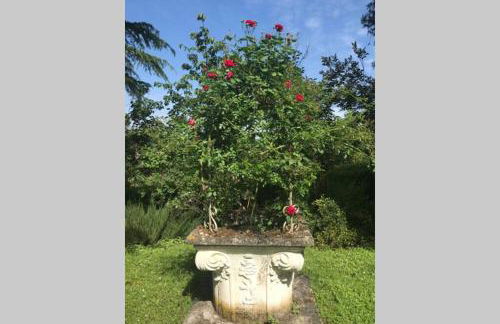 CASA LA TORRE un castello alle porte di Firenze - Photo 21