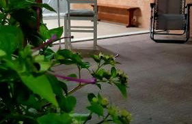 Seaside village Catania - Foto 17