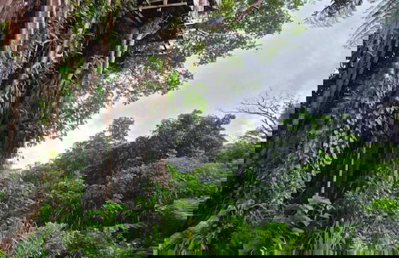 Glowing view tree house and Bangalow - Foto 32