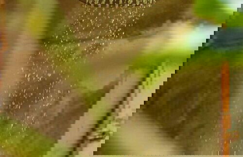 Morena Beach - Foto 22