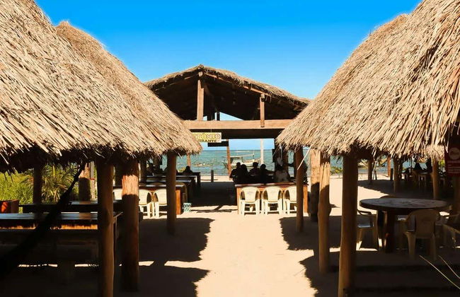 Excursion à la plage de São José da Coroa Grande - Photo 3