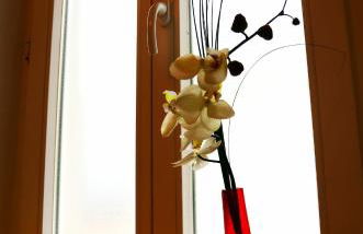 Lehmgefühl, Design Vier, La Petite Maison - Foto 63