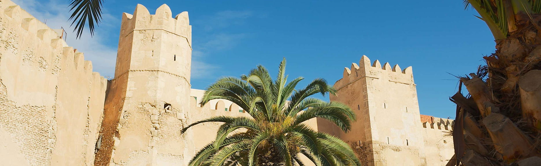 Tour de 8 días por Túnez