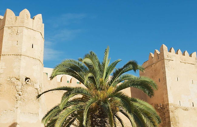 Tour de 8 días por Túnez - Foto 1