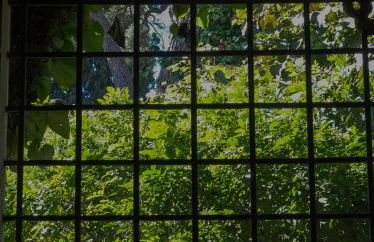 La Casetta di Borgo Carbone - Foto 6