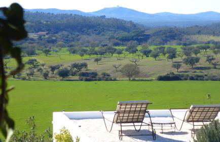 Sharish - Monte Das Estevas - Foto 33