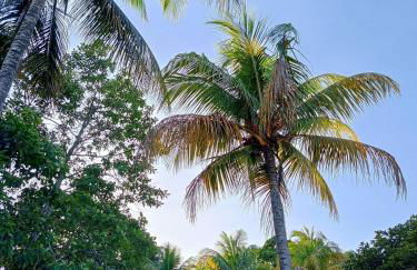 Temporada Peterle | AP 202 Irirí - Foto 9