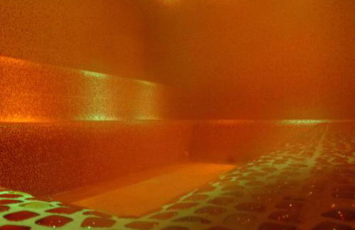 EXIGEHOME-Large houseboat with spa near Paris - Foto 55