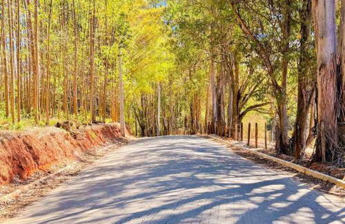 Recanto Lavivida - Conexão com a natureza - Foto 56