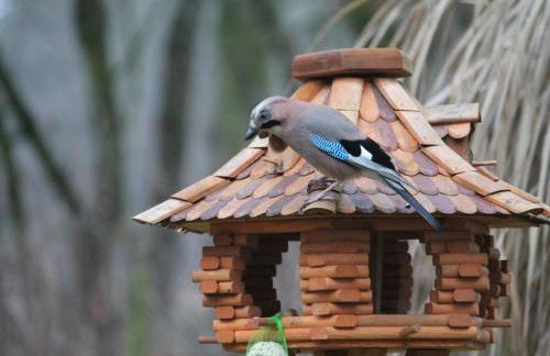 Holiday Home Bungalow Waldidyll by Interhome - Foto 48