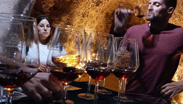 Tour in Laguardia - Photo 4