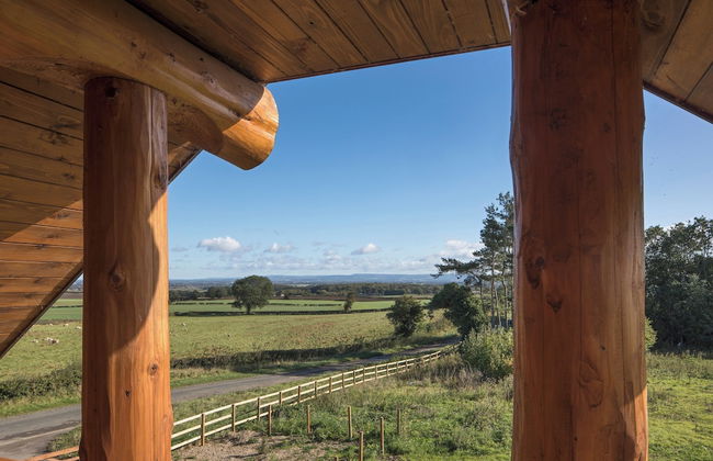 Traditional Scandinavian/north American Log Home - Foto 25