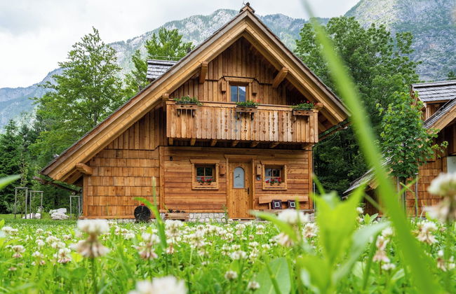 ALPIK Chalets - Bohinj - Foto 42