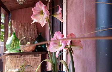 B&B Home Holiday Villa delle Acacie agriturismo - Foto 59