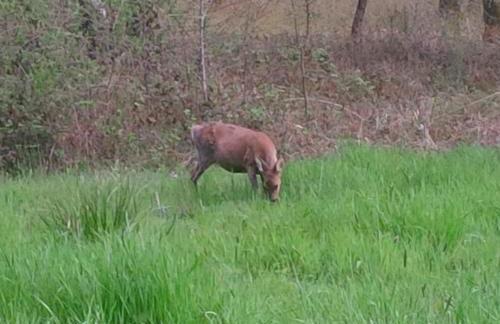 Cabanes en Loire, Gite & SPA en pleine nature - Foto 18